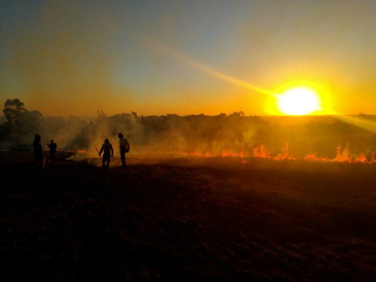 ????New Website Translator